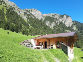 Apartment Linders Vorsass - Alphütte